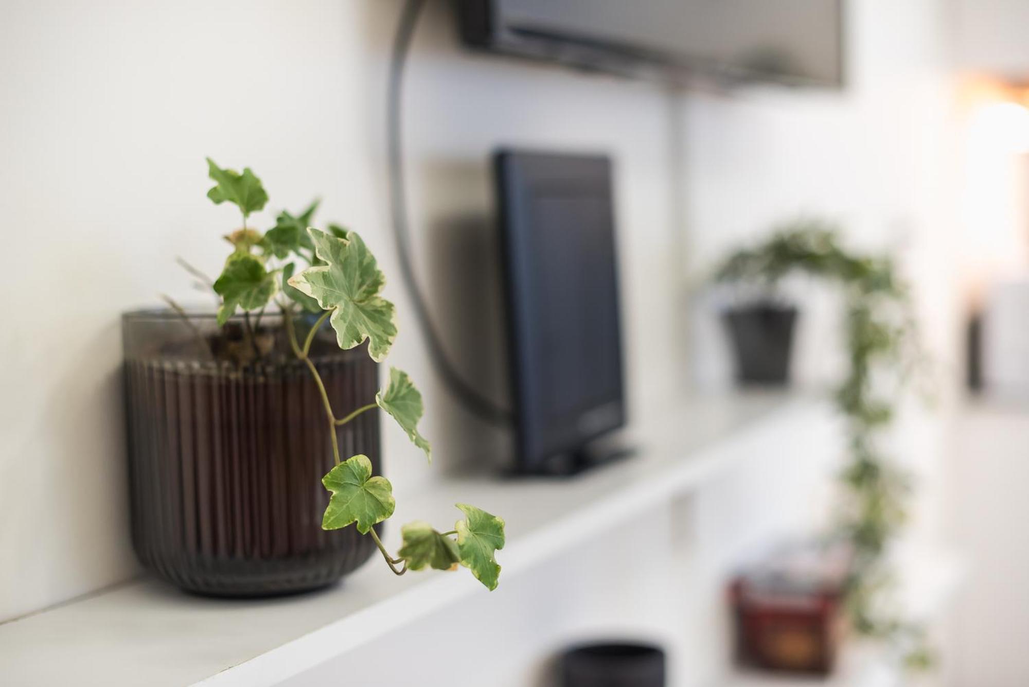 Modern Apartment 200M From Acropolis 100Mbps Netflix Афіни Екстер'єр фото